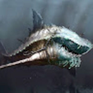 Meet your Posher, Diego